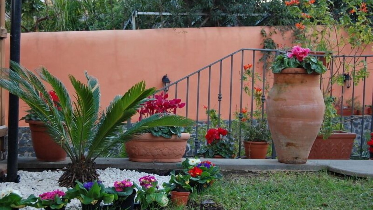 Photo of Outdoor in Scillichenti