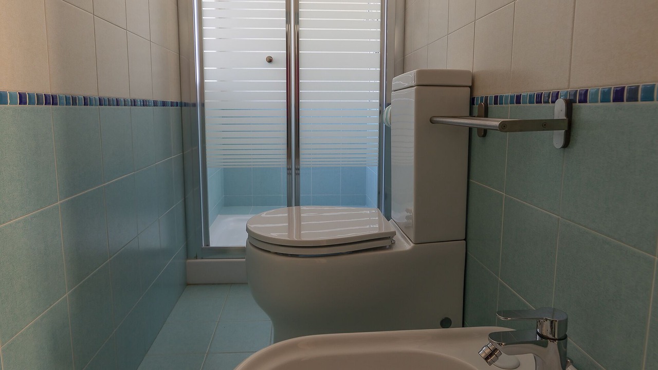 Photo of Bathroom in Carrozziere