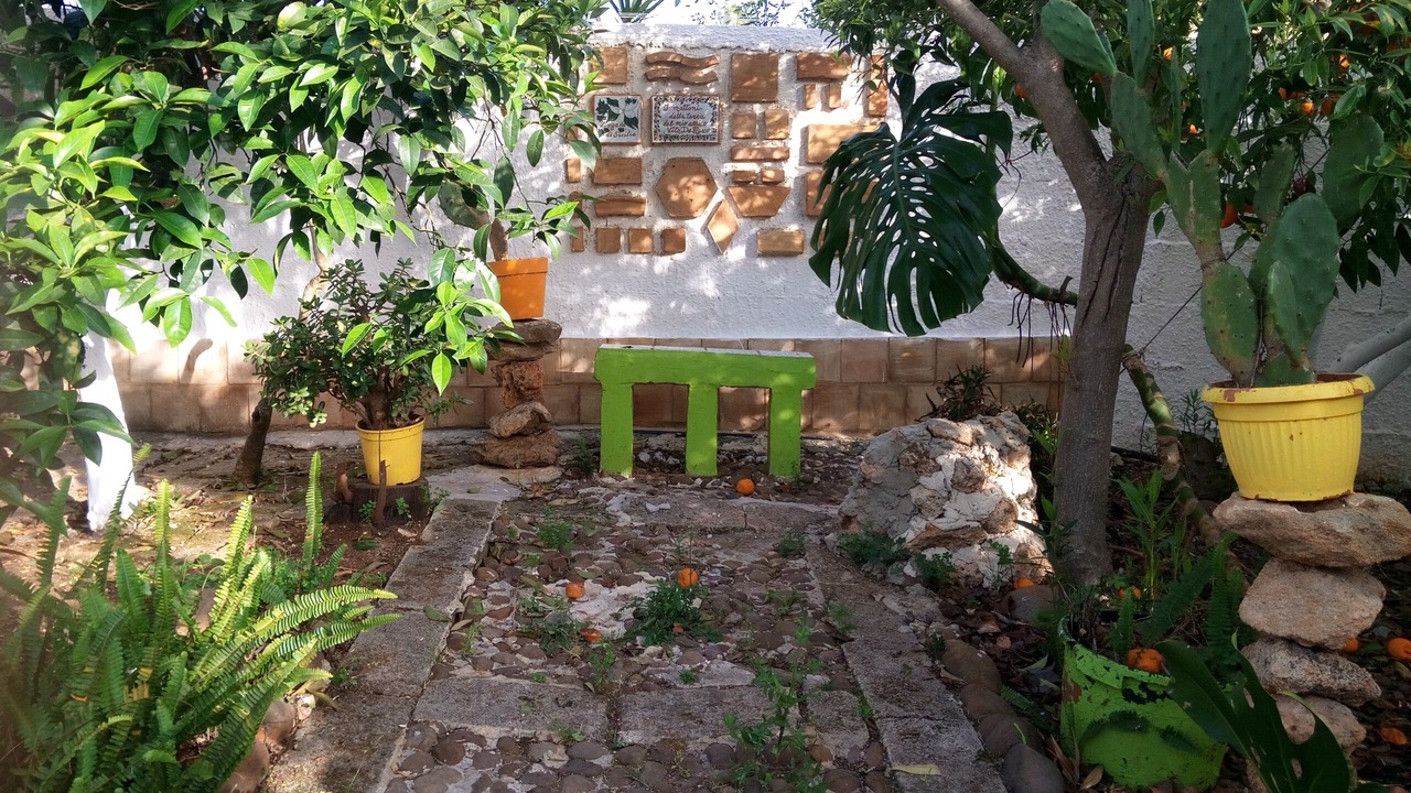 Photo of Outdoor in Marsala