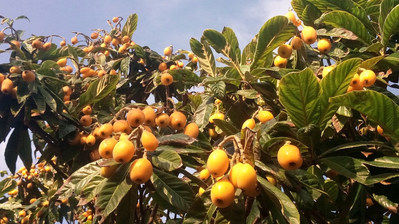 Photo of Outdoor in Marsala