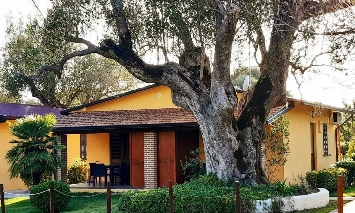 Photo of Outdoor in Palinuro