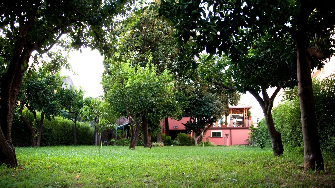 Photo of Outdoor in Coste
