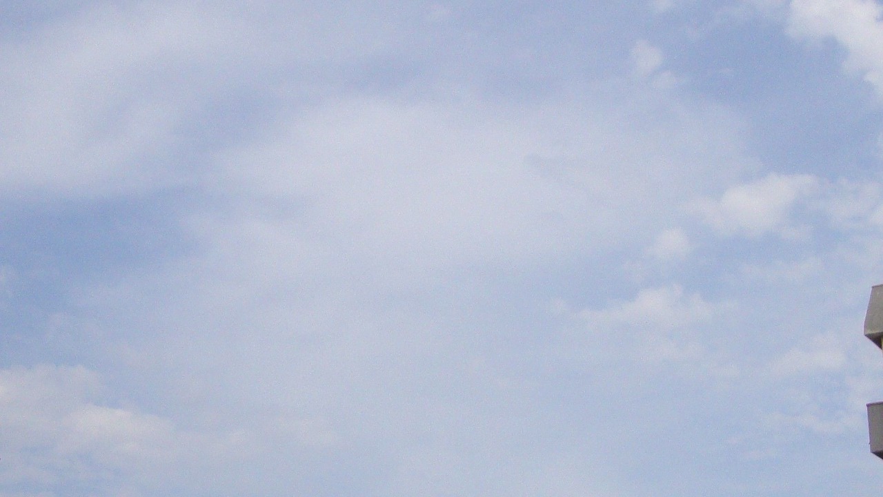 Photo of Others in Trapani