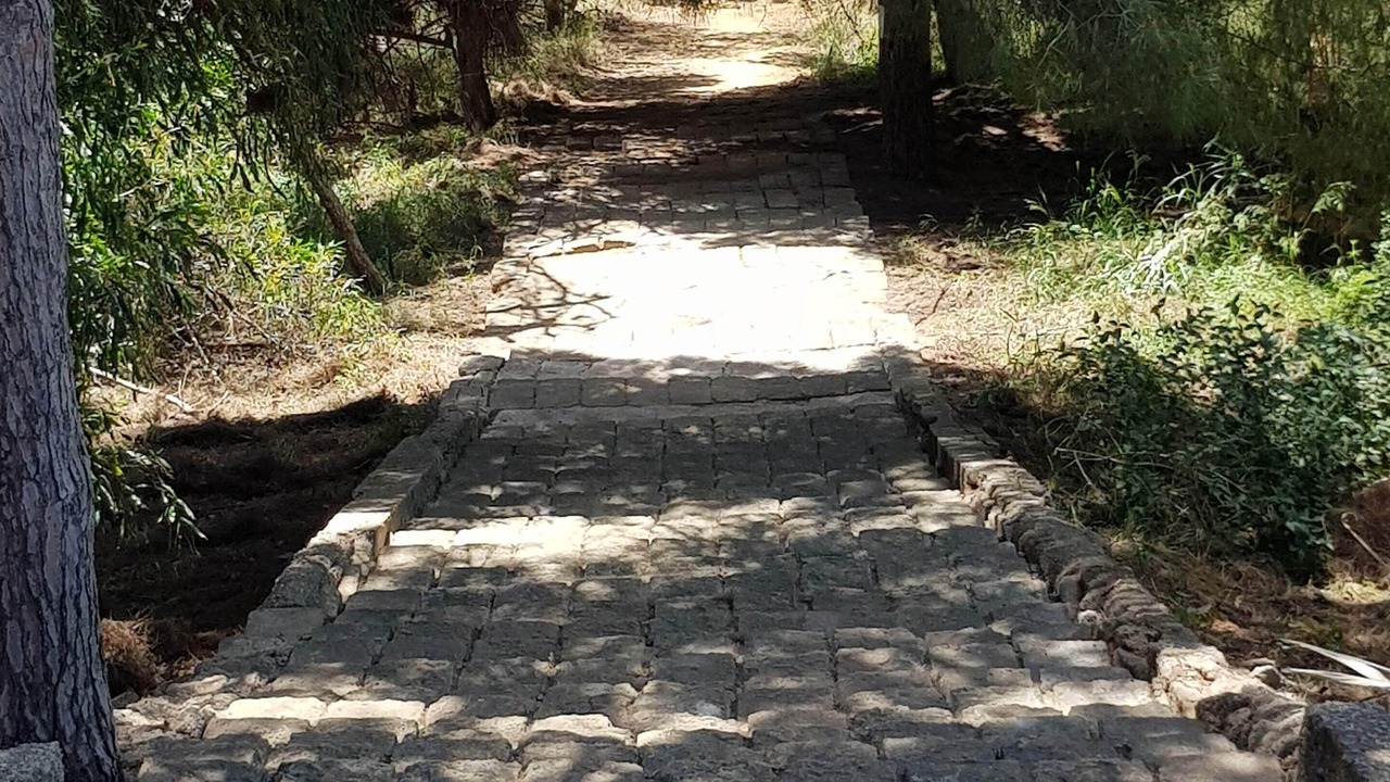Photo of Outdoor in Fiumenaro