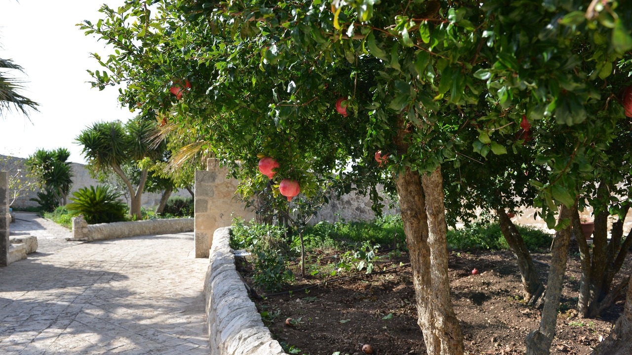 Photo of Outdoor in Cimilla II