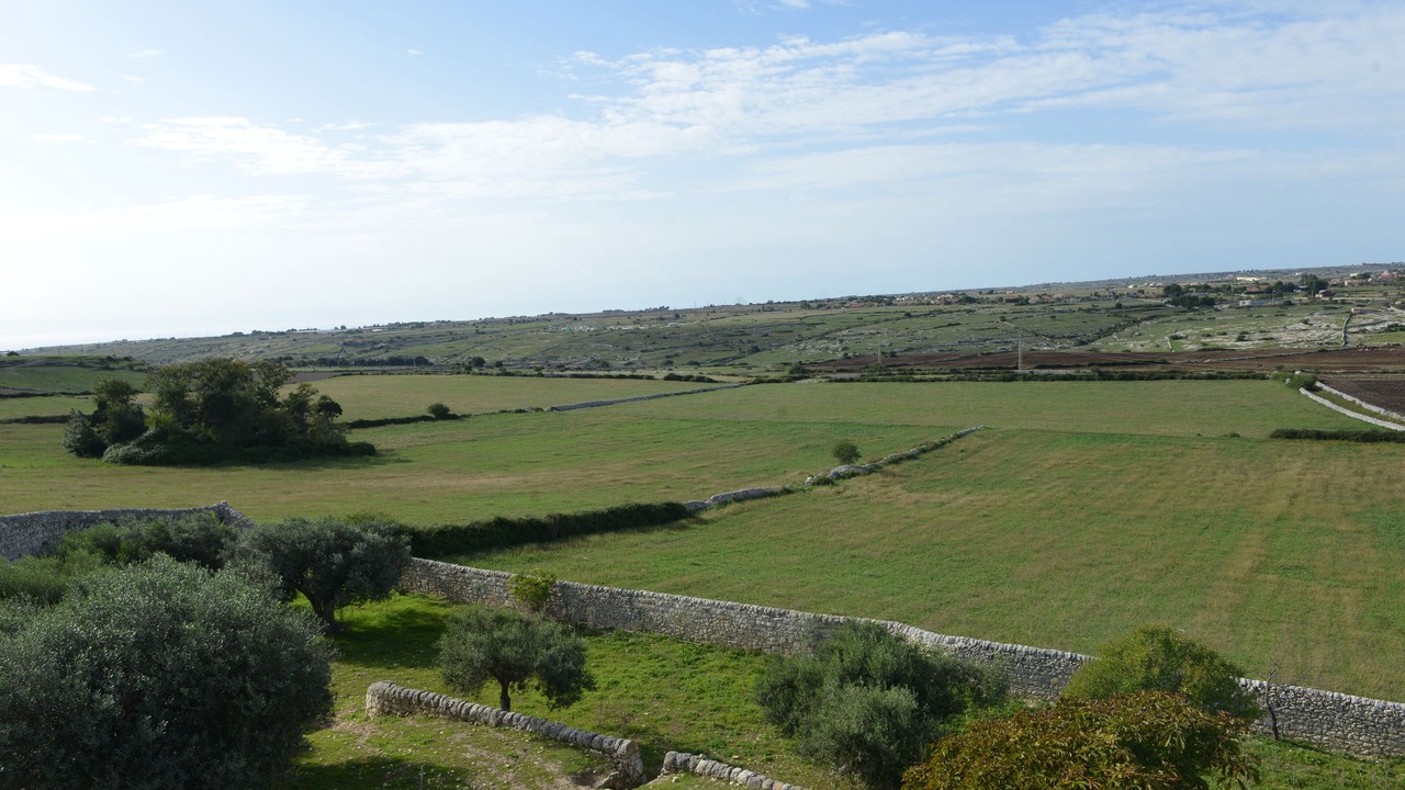 Photo of Outdoor in Cimilla II