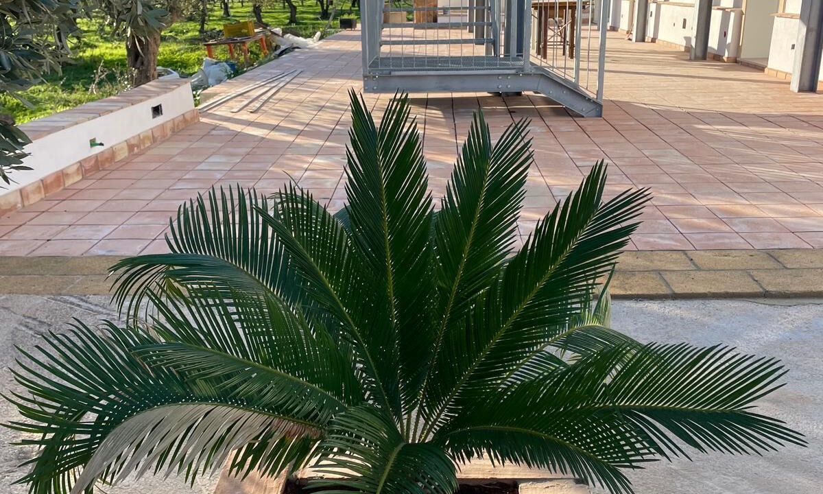 Photo of Outdoor in Castelvetrano