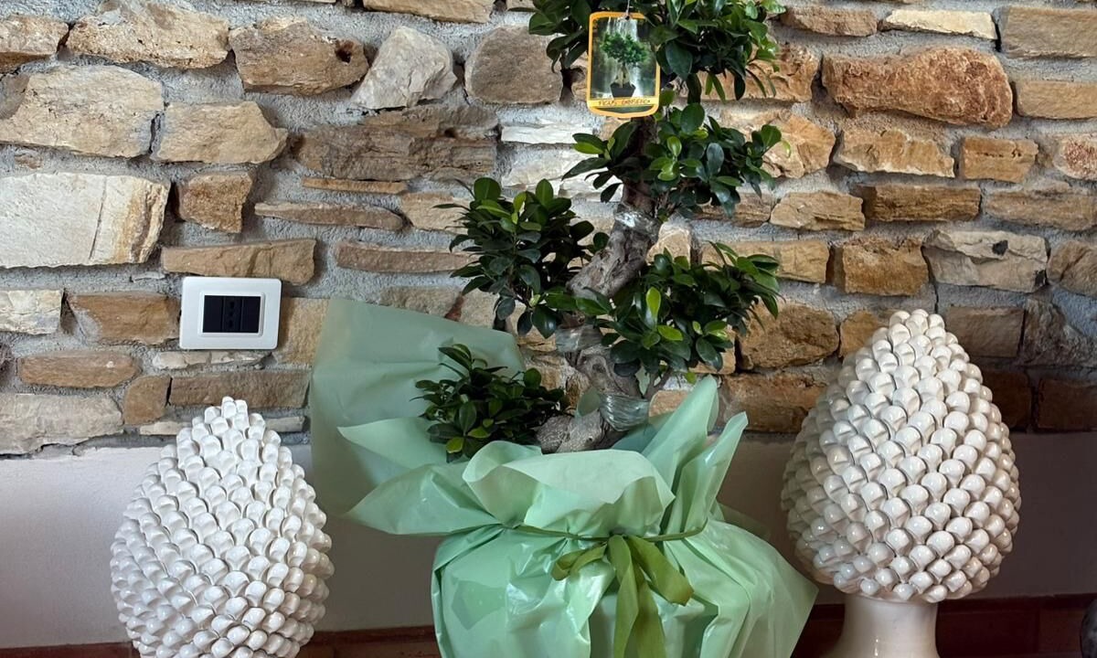 Photo of Bedroom in Castelvetrano