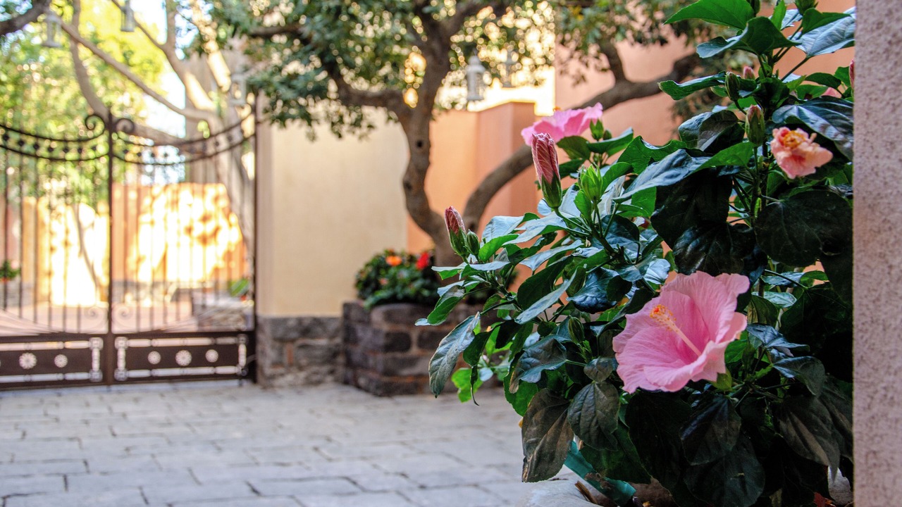 Photo of Outdoor in Belpasso