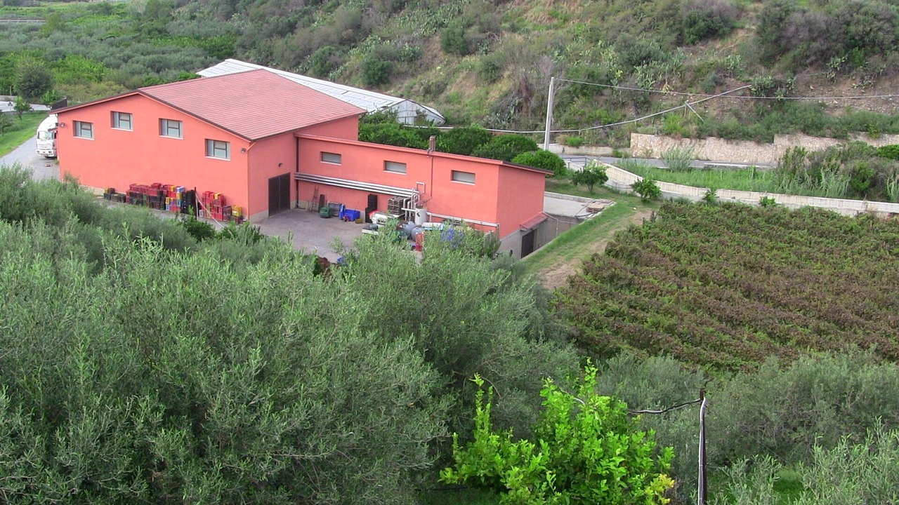 Photo of Outdoor in Santa Lucia del Mela