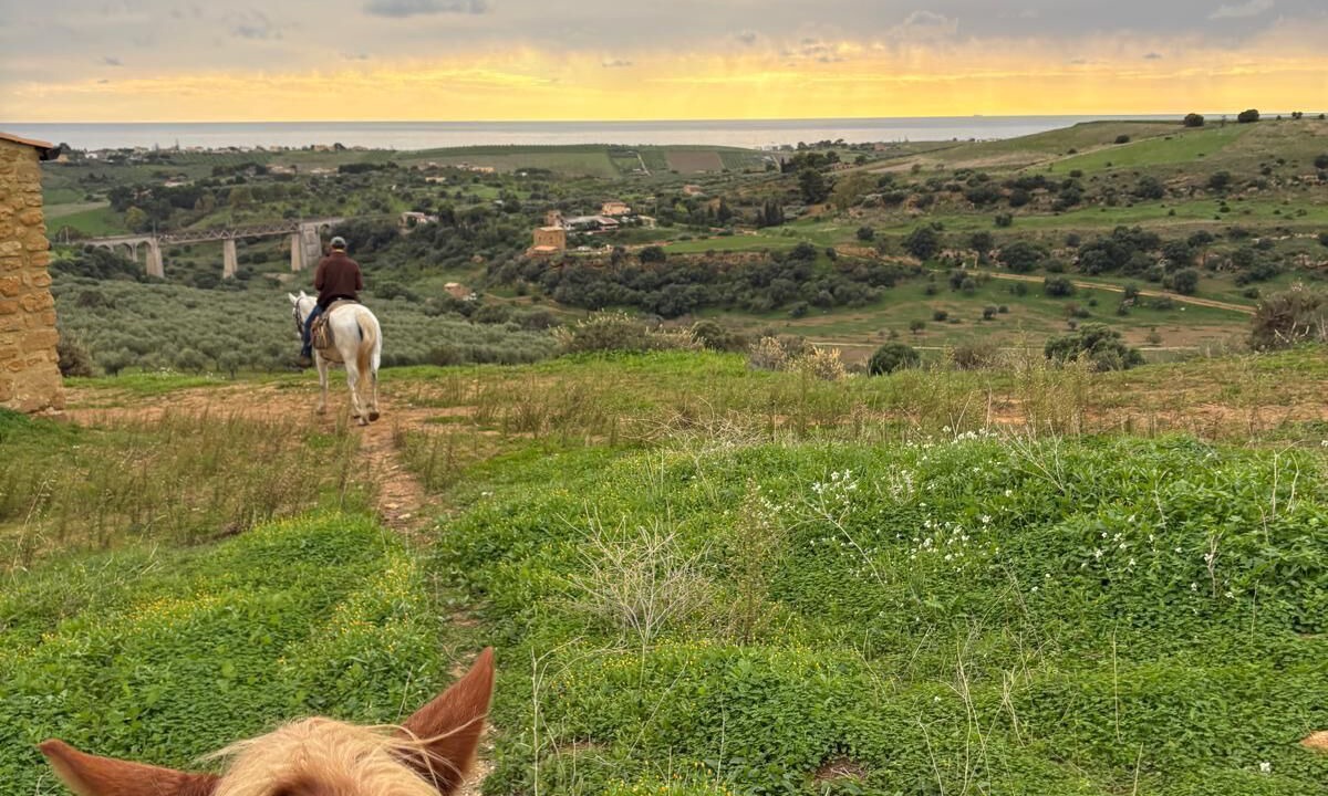 Photo of Others in Agrigento