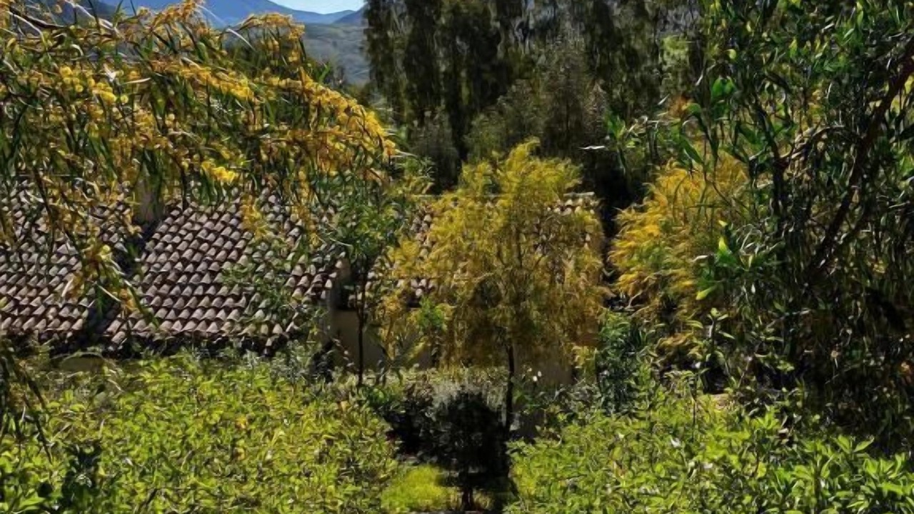 Photo of Outdoor in Sclafani Bagni