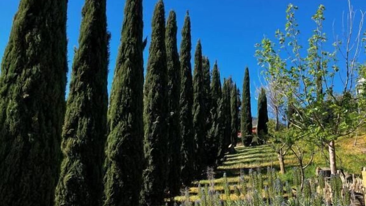 Photo of Outdoor in Sclafani Bagni
