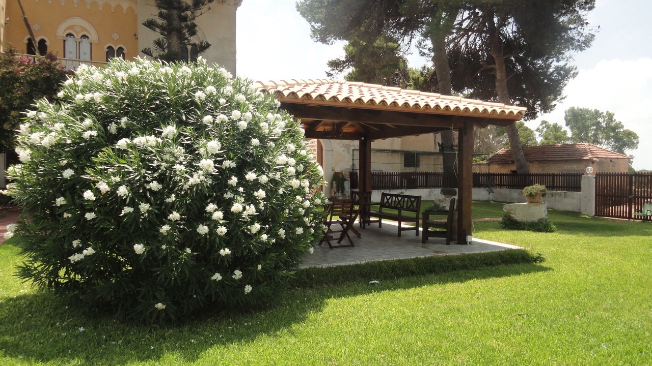 Photo of Outdoor in Paceco