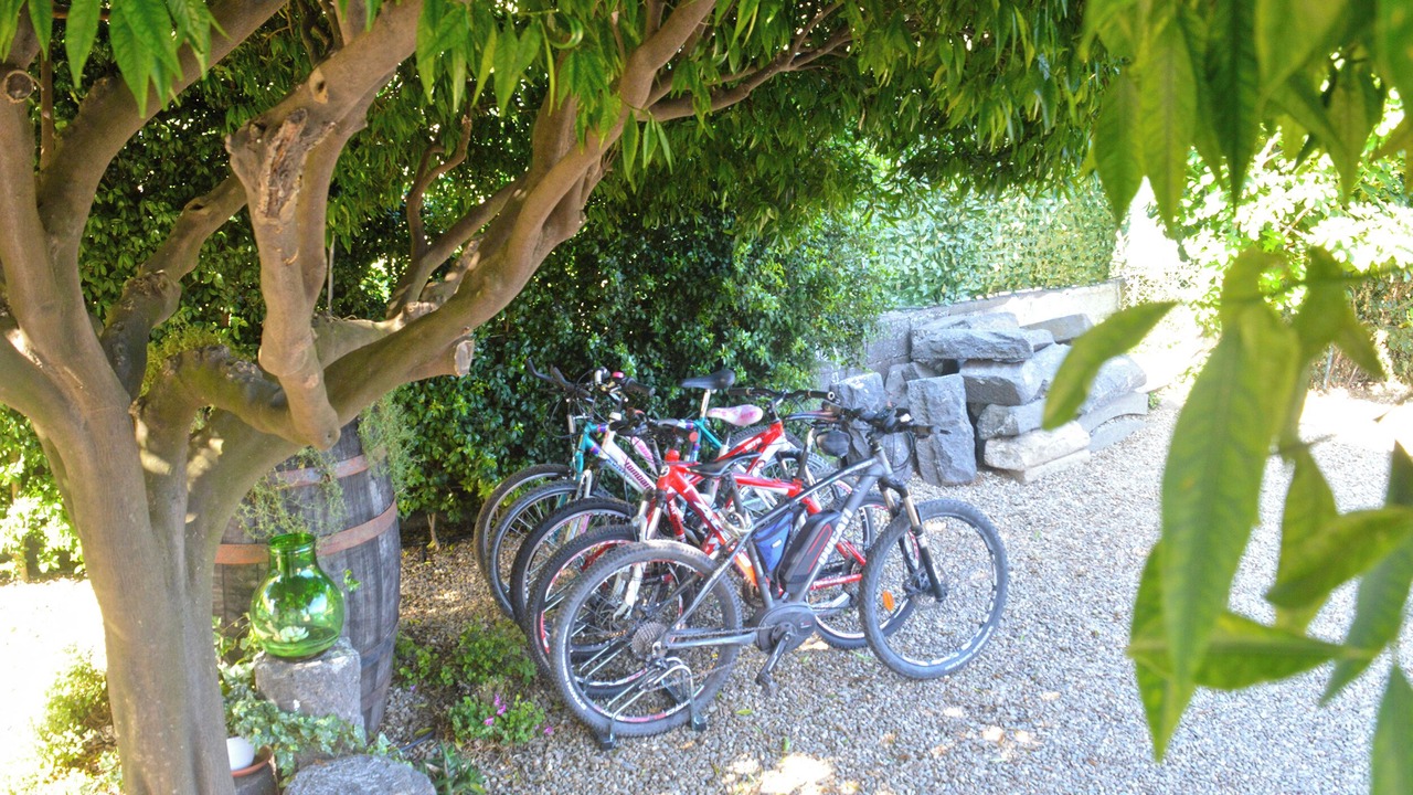 Photo of Outdoor in Rovittello