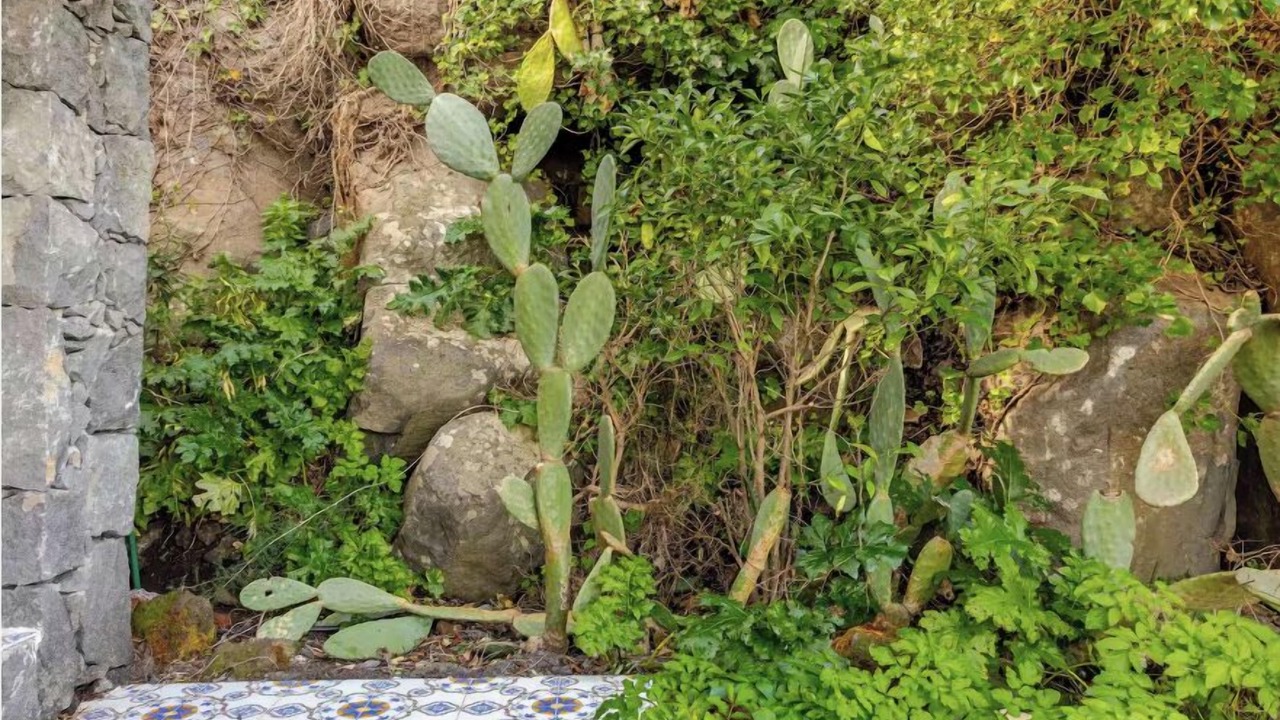 Photo of Outdoor in Valverde