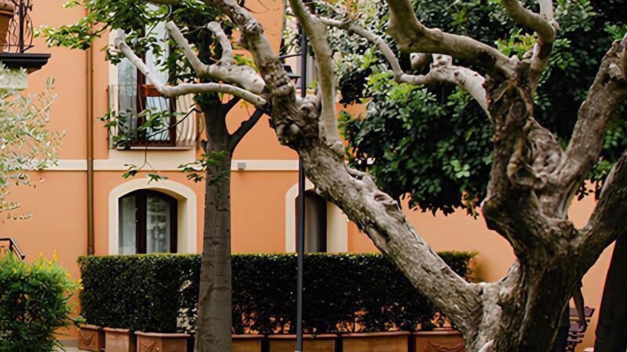 Photo of Outdoor in San Giovanni la Punta