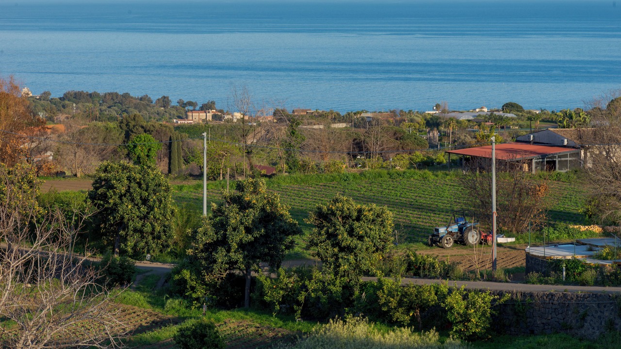 Photo of Outdoor in Aci Catena
