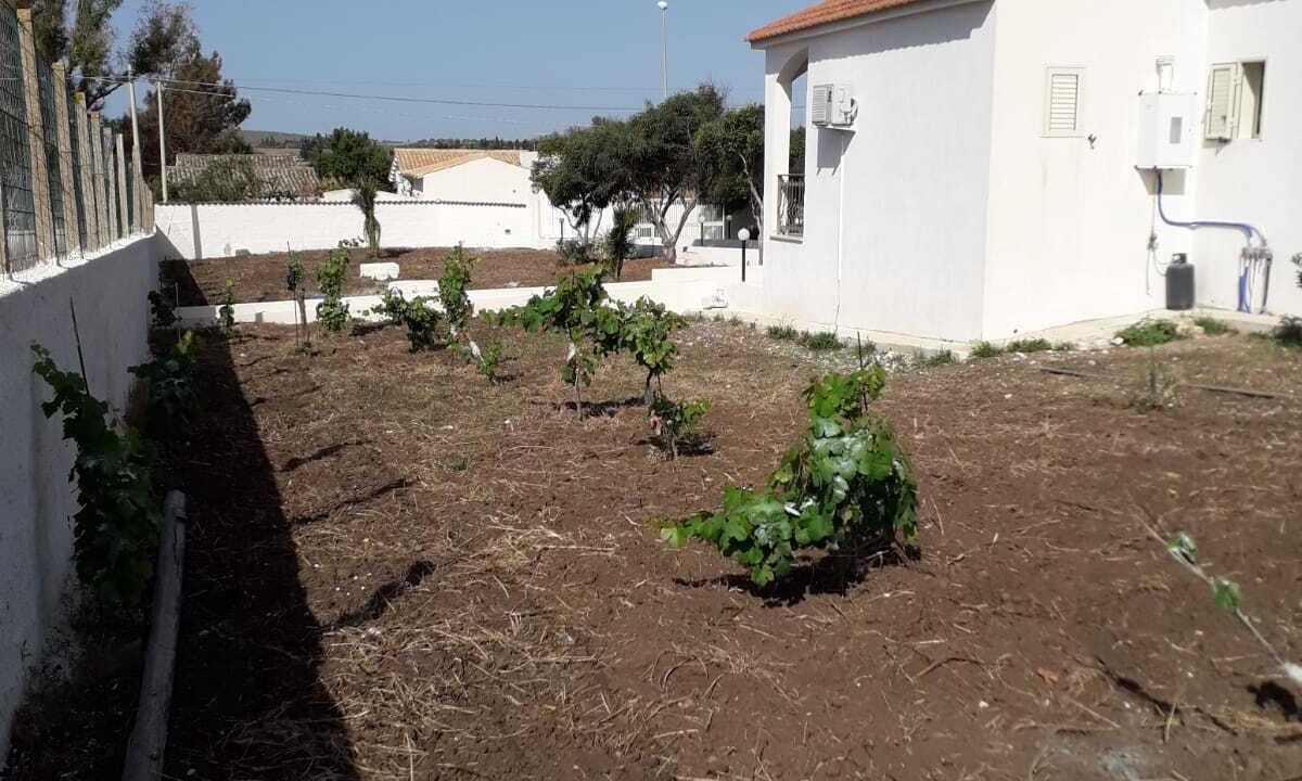 Photo of Outdoor in San Lorenzo