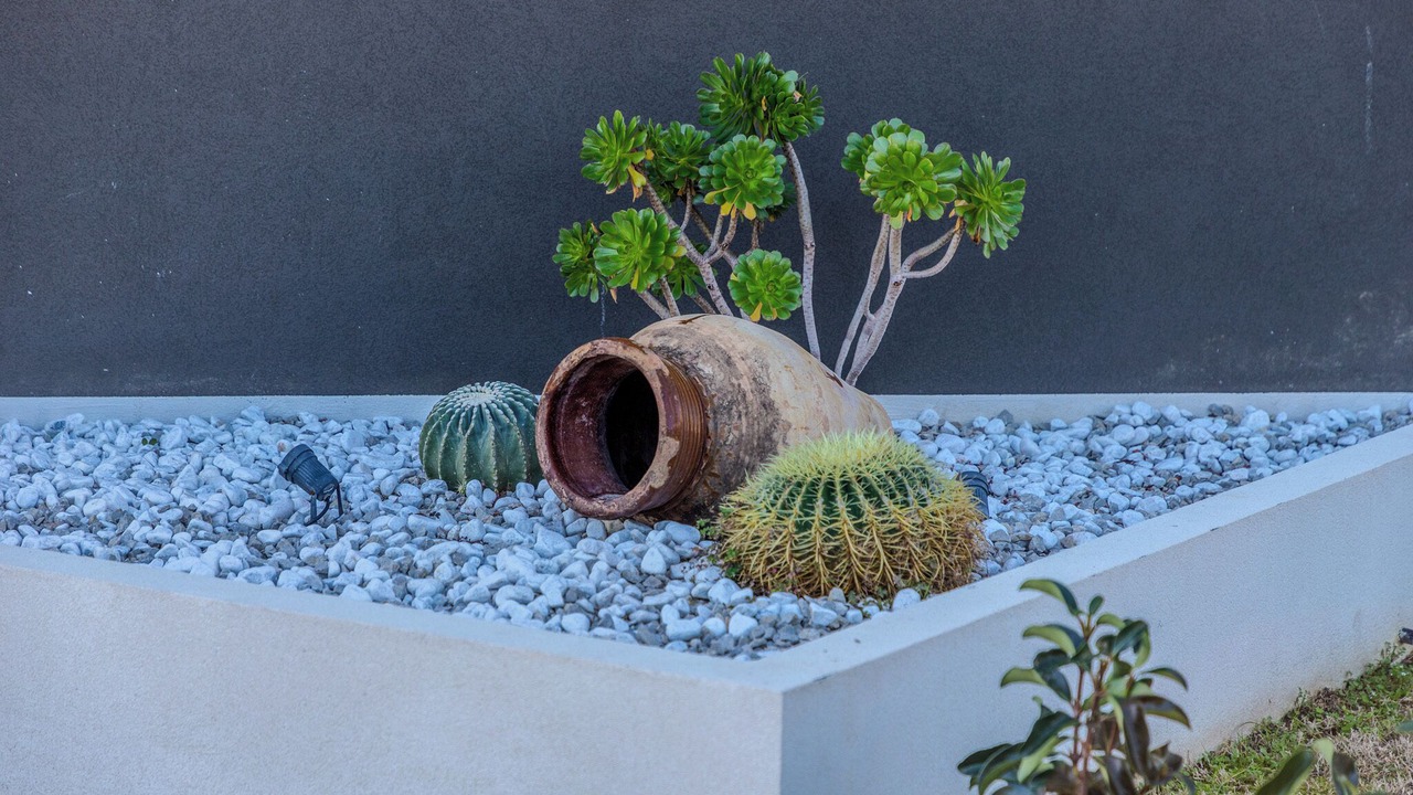 Photo of Outdoor in Sant'Agata di Militello