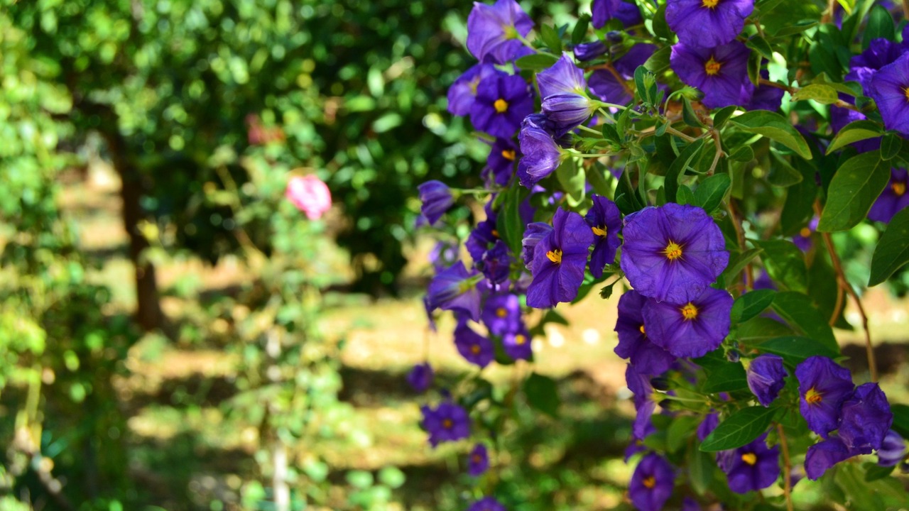 Photo of Outdoor in Caltanissetta