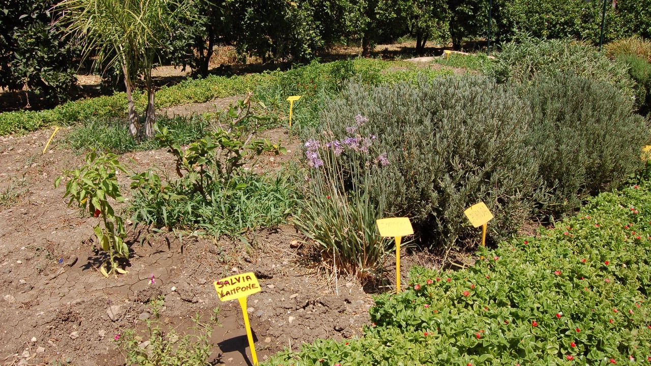 Photo of Outdoor in Carlentini