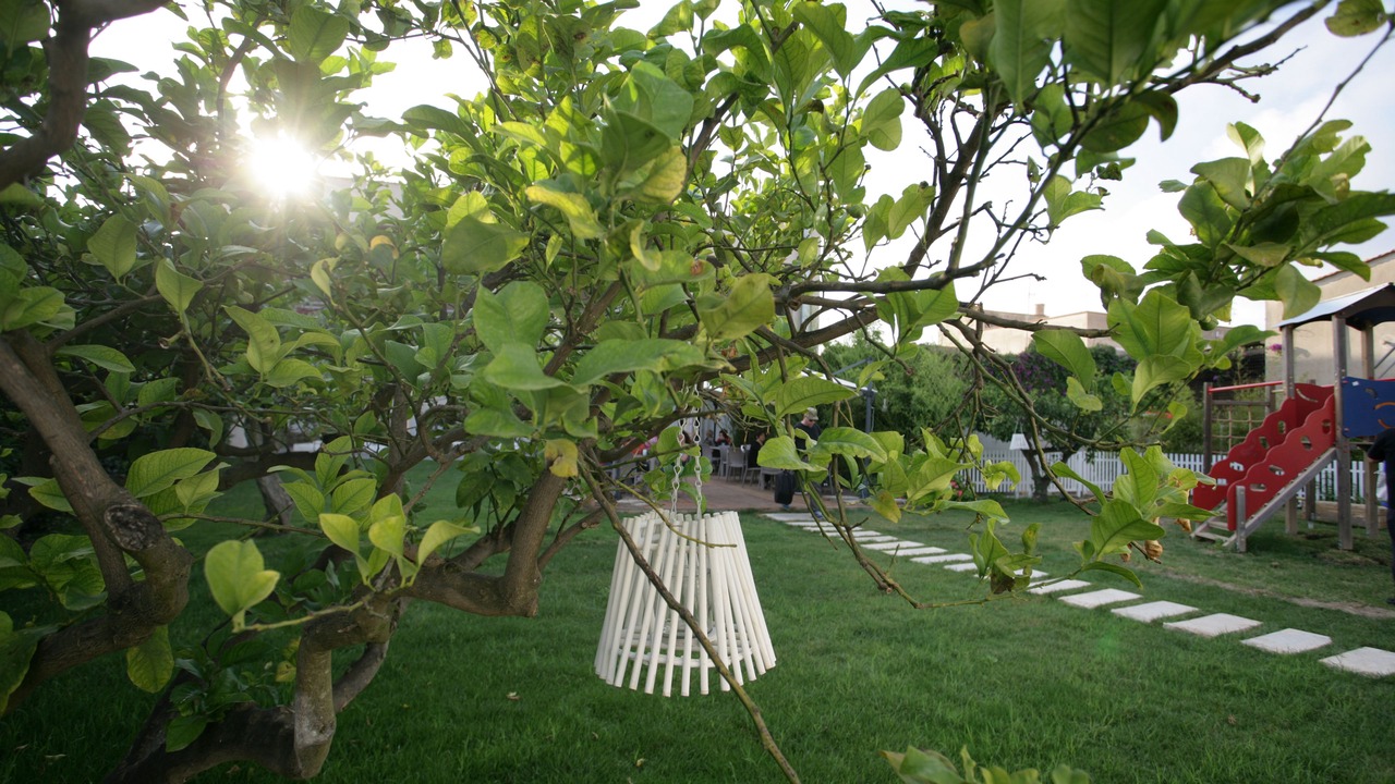 Photo of Outdoor in Rilievo
