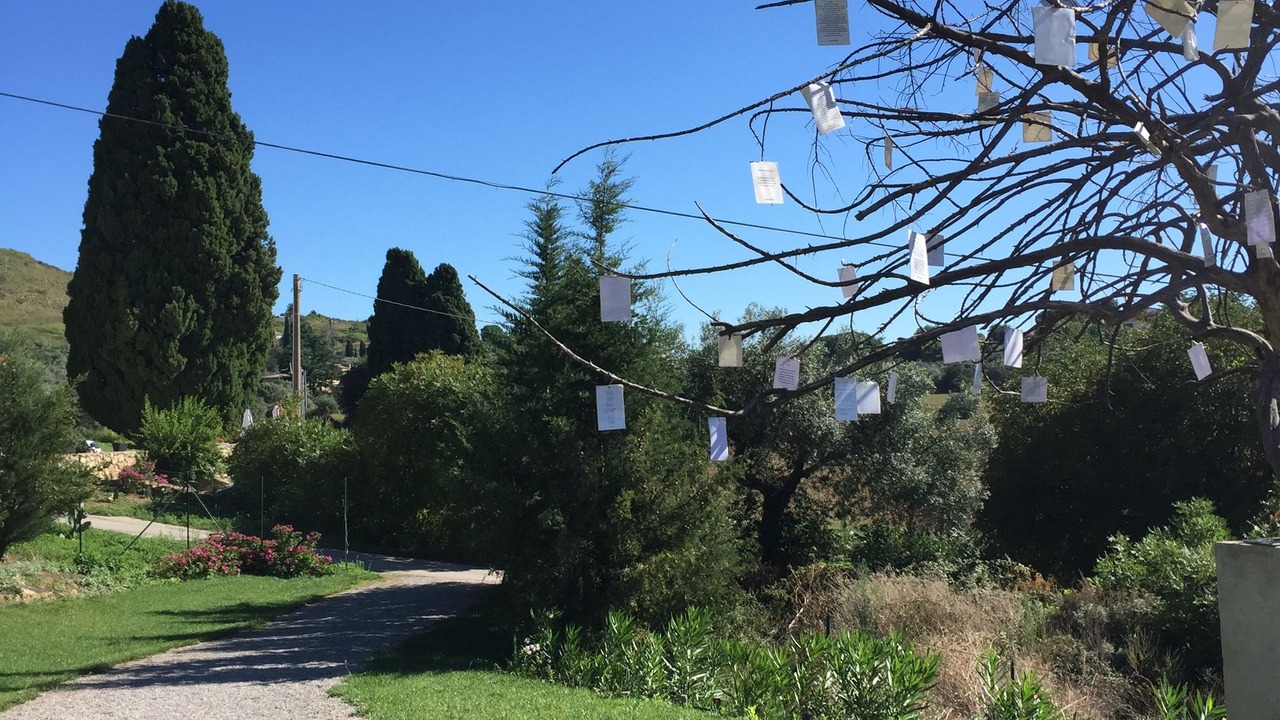 Photo of Outdoor in Pergusa