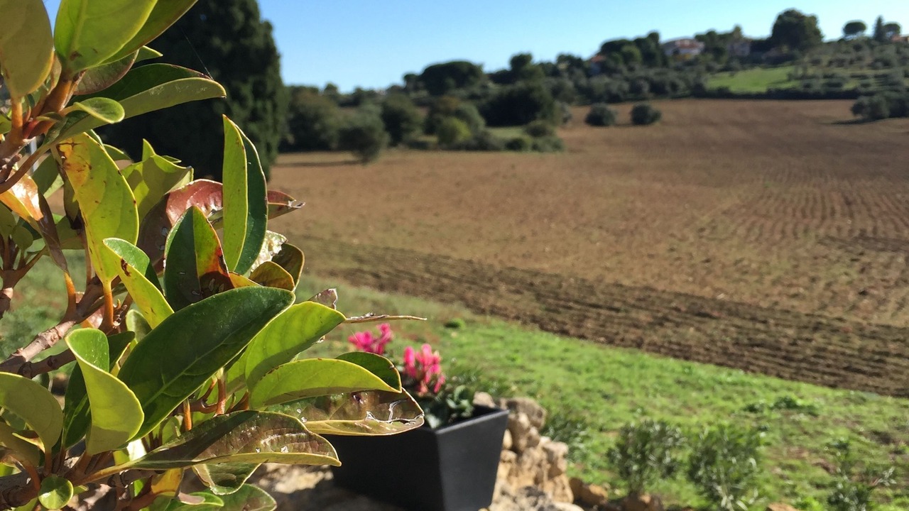 Photo of Outdoor in Pergusa