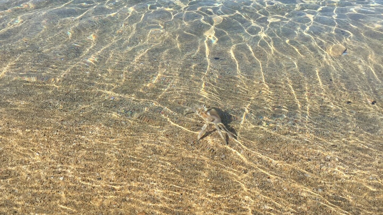 Photo of Outdoor in Pachino