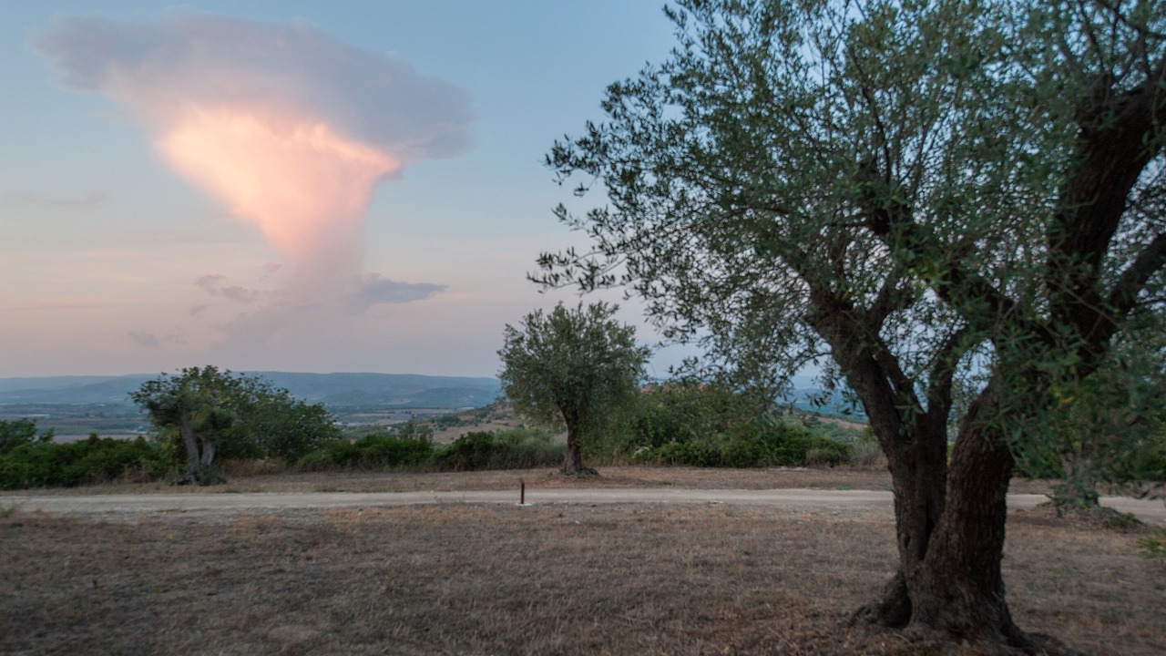 Photo of Outdoor in Noto