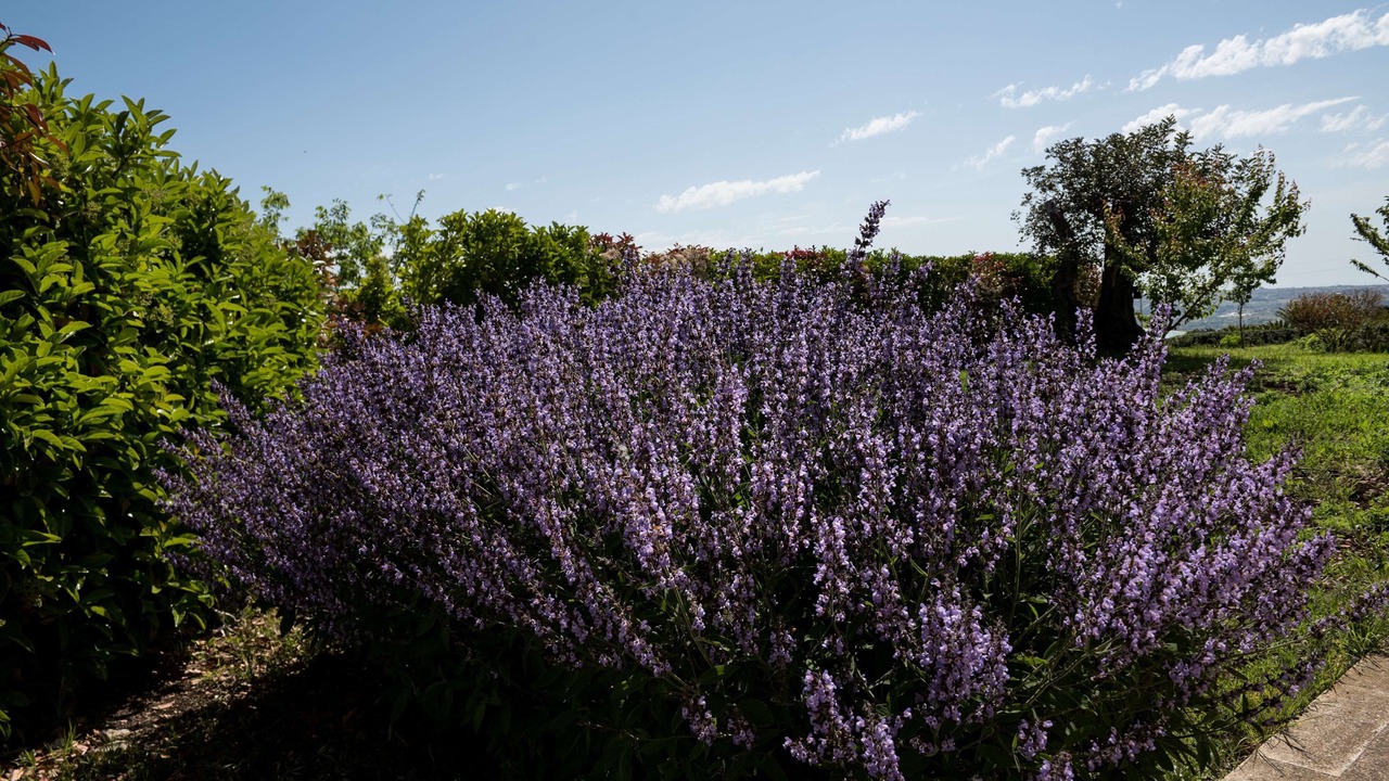 Photo of Outdoor in Ragusa