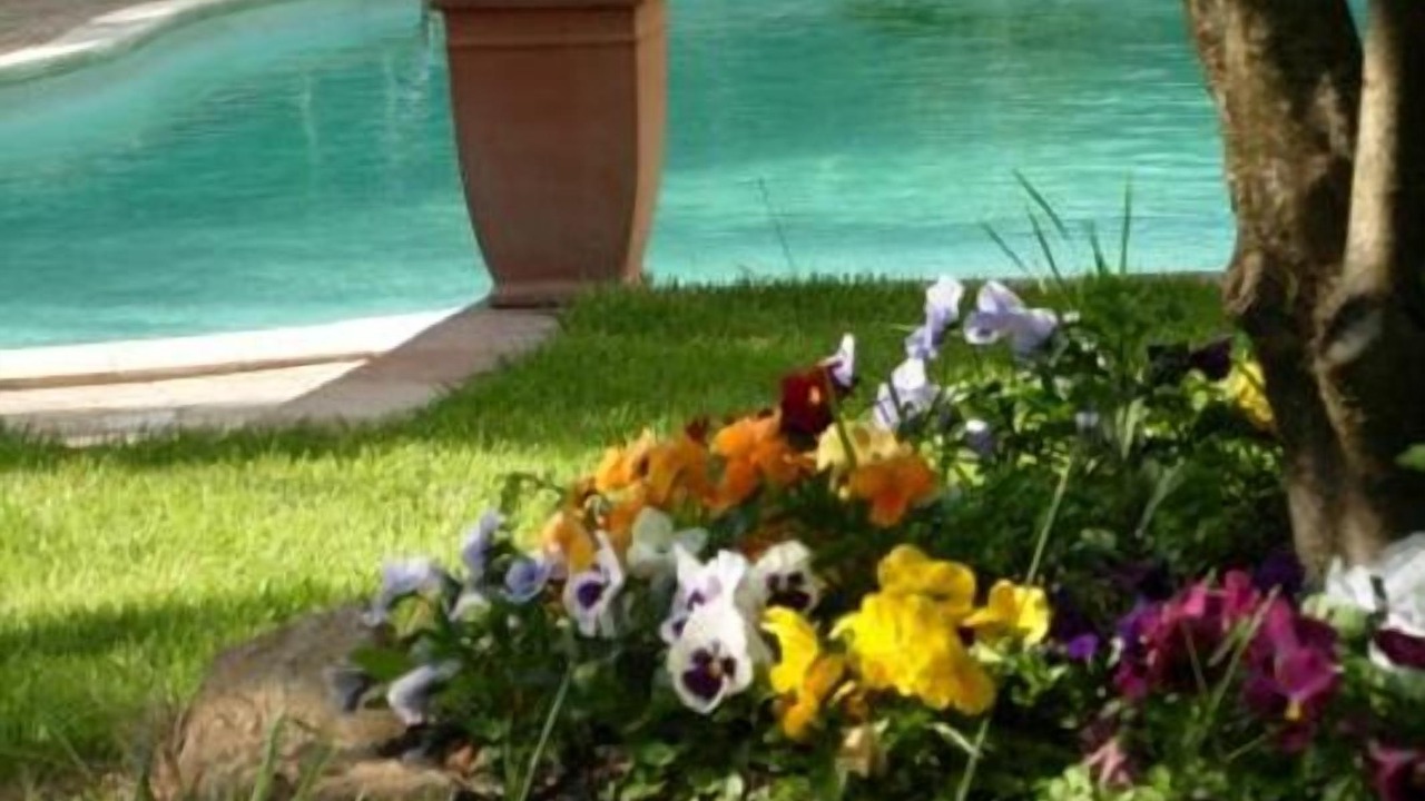 Photo of Outdoor in Piazza Armerina