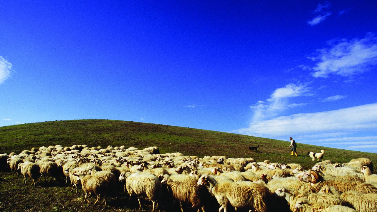 Photo of Outdoor in Alia
