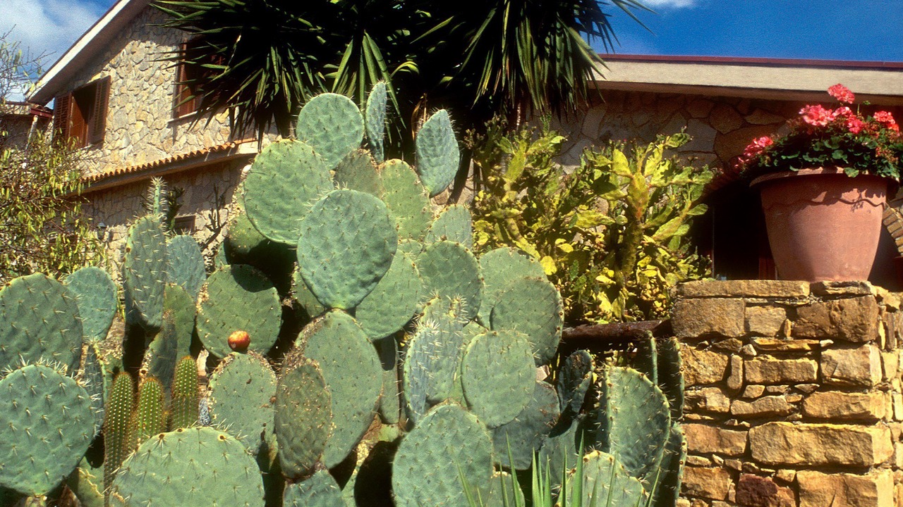 Photo of Outdoor in Alia