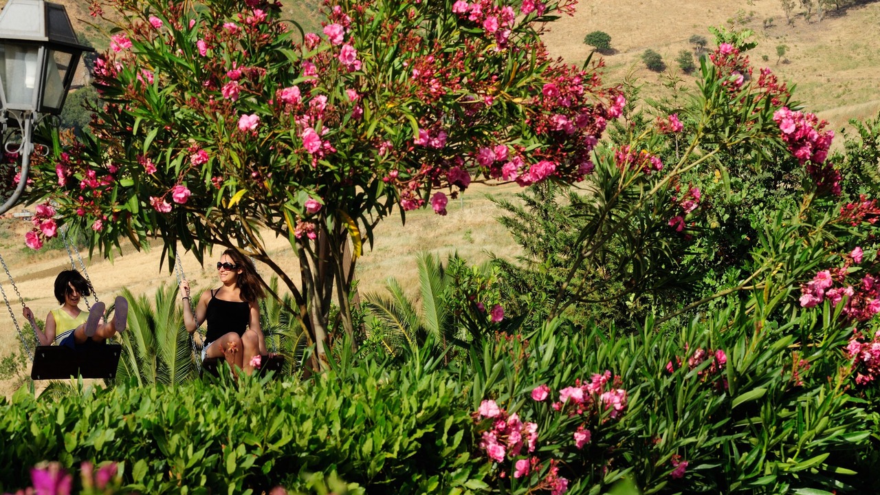 Photo of Outdoor in Alia