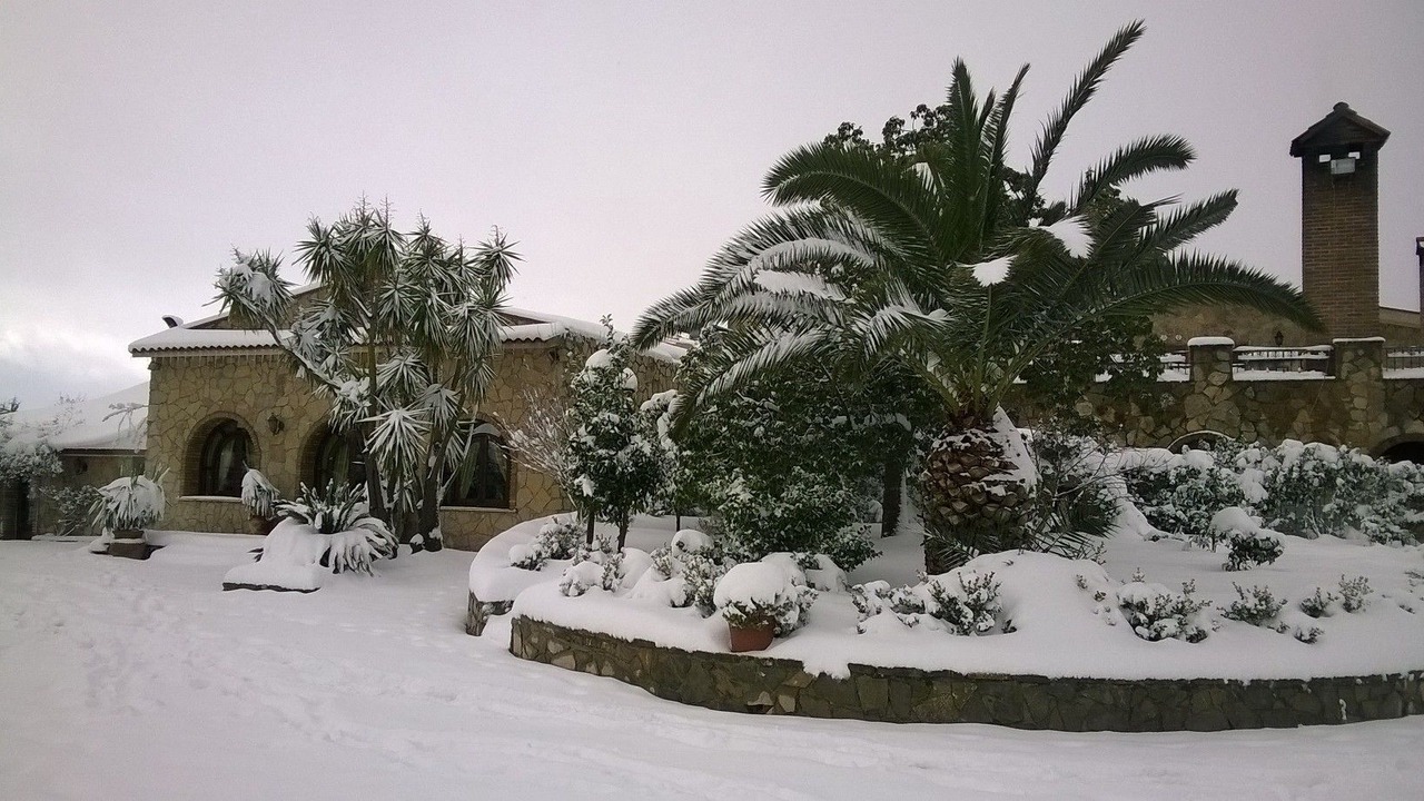 Photo of Outdoor in Alia