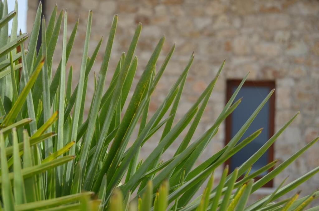 Photo of Outdoor in Portopalo di Capo Passero