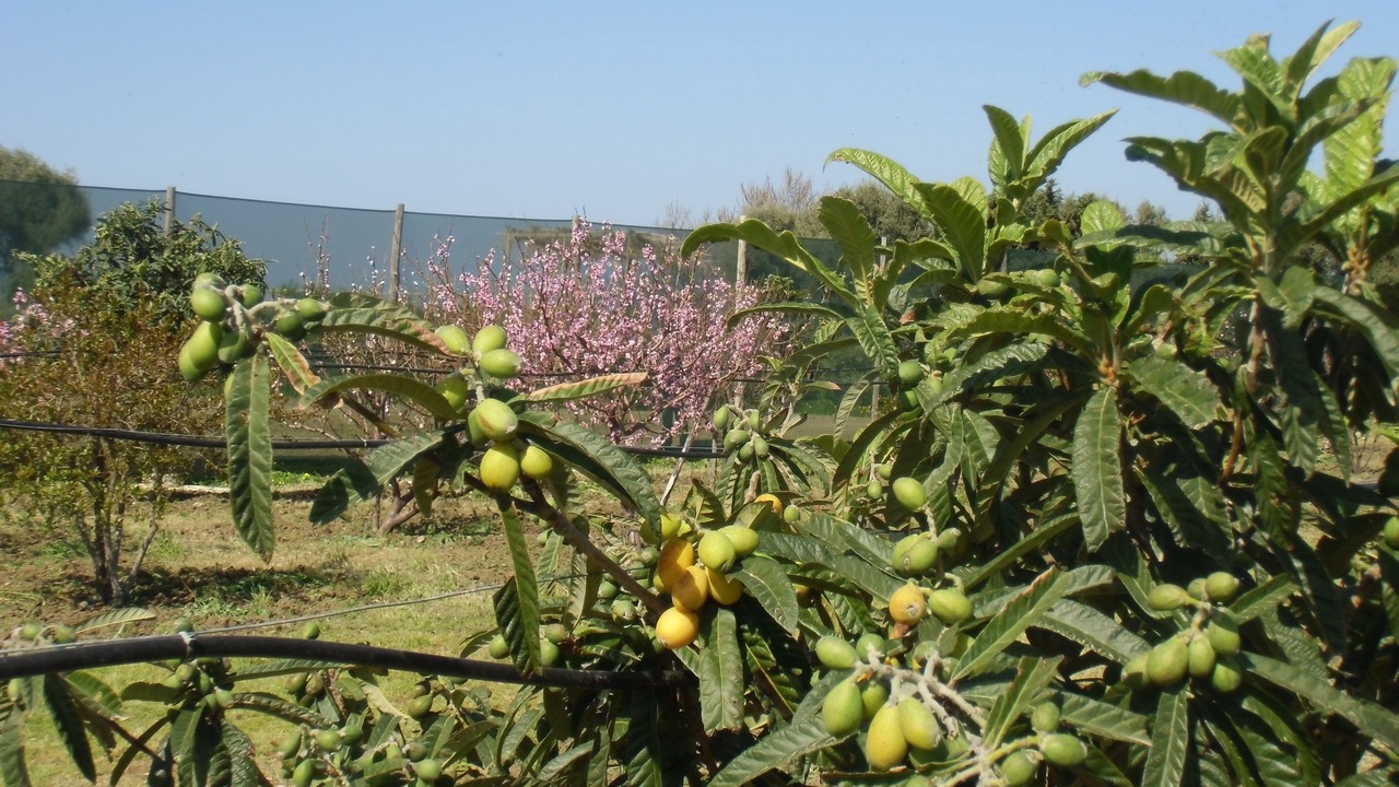 Photo of Outdoor in Acquedolci