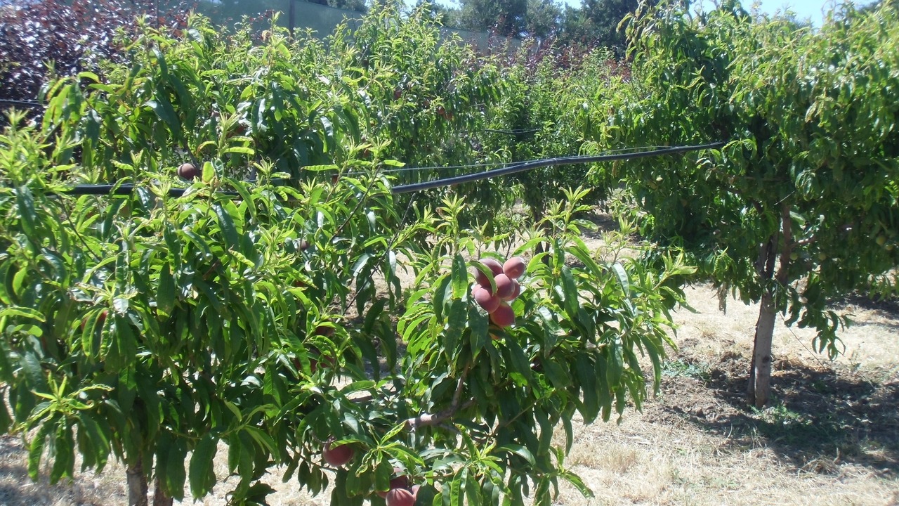 Photo of Outdoor in Acquedolci