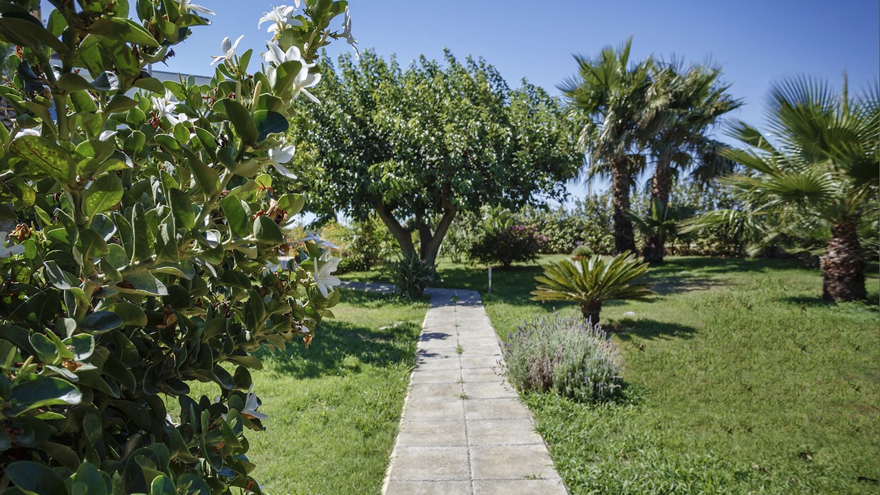 Photo of Outdoor in Scoglitti