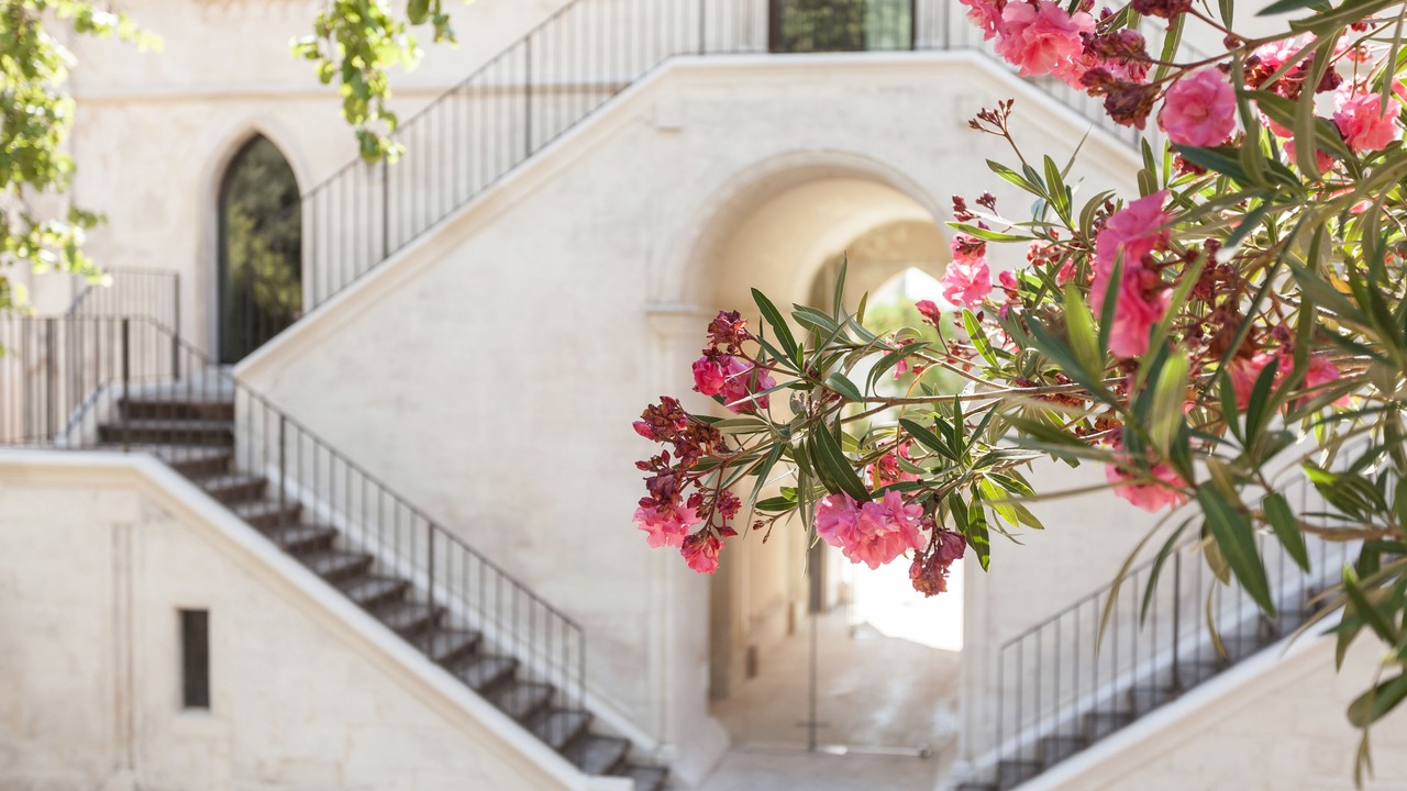 Photo of Outdoor in Ragusa