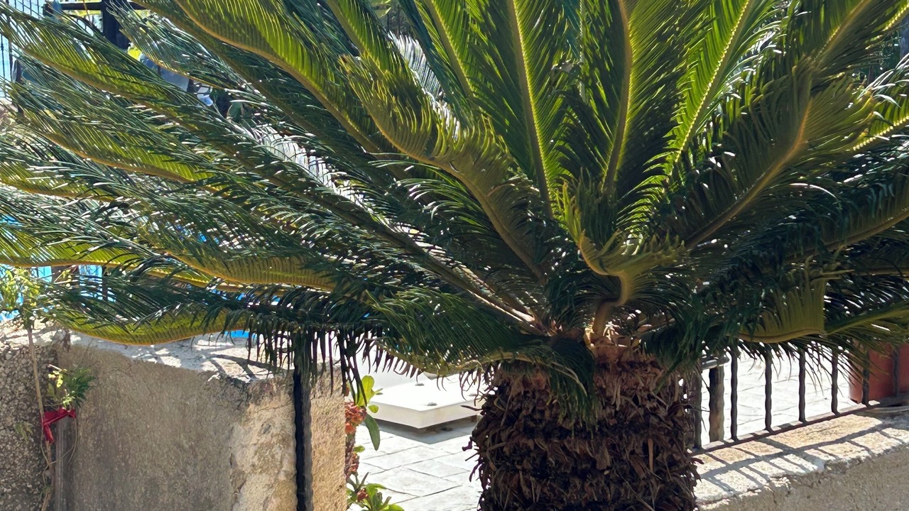 Photo of Outdoor in Palma di Montechiaro