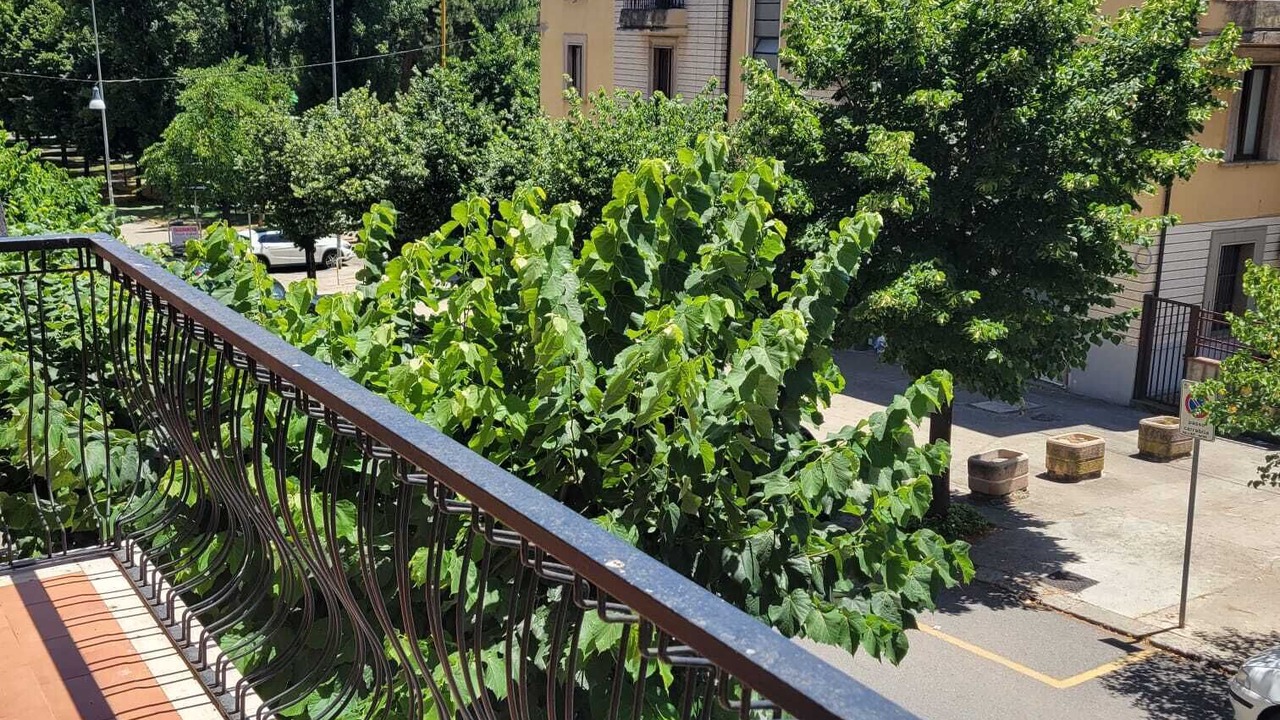 Photo of Outdoor in Cosenza