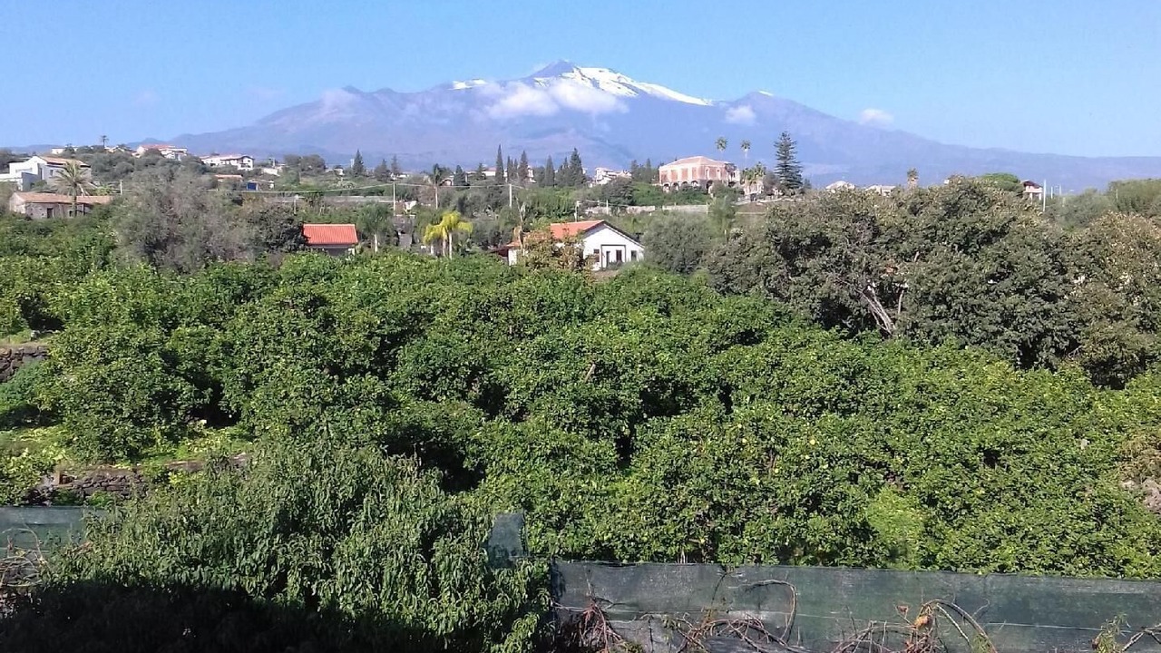 Photo of Outdoor in Santa Tecla