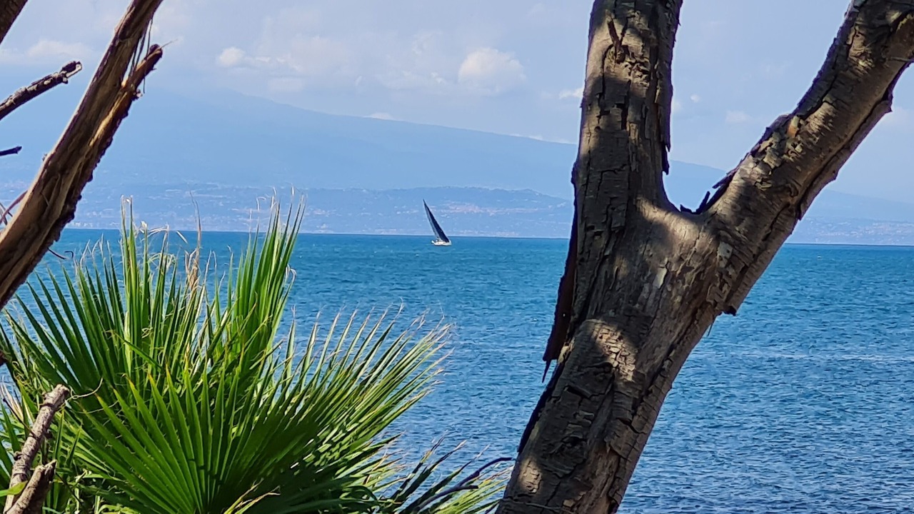 Photo of Others in Brucoli