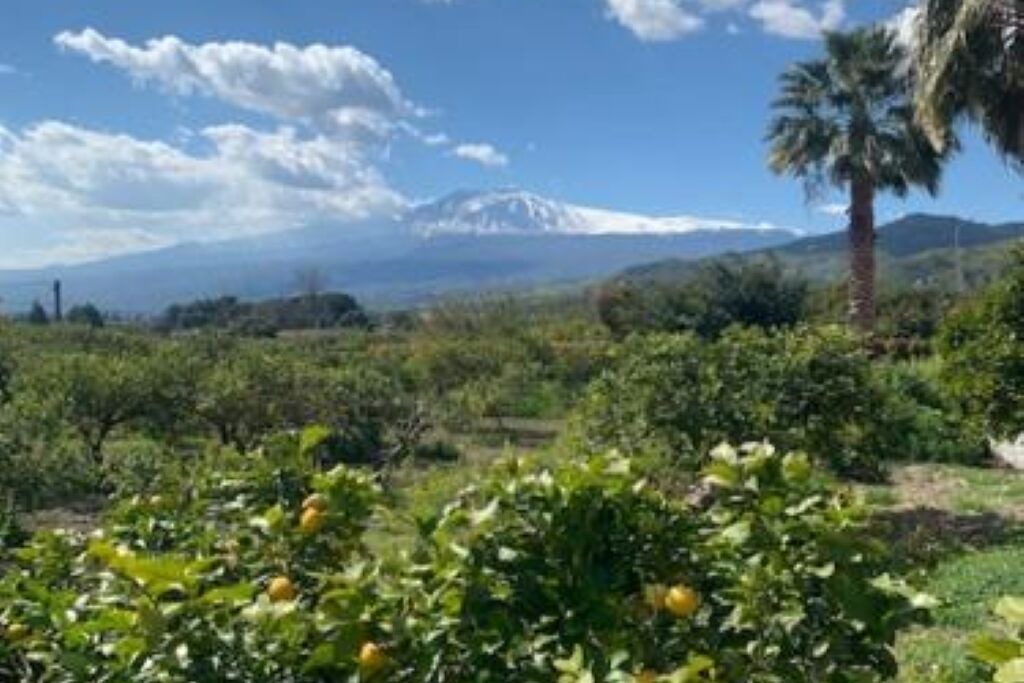 Photo of Outdoor in Chianchitta-Trappitello