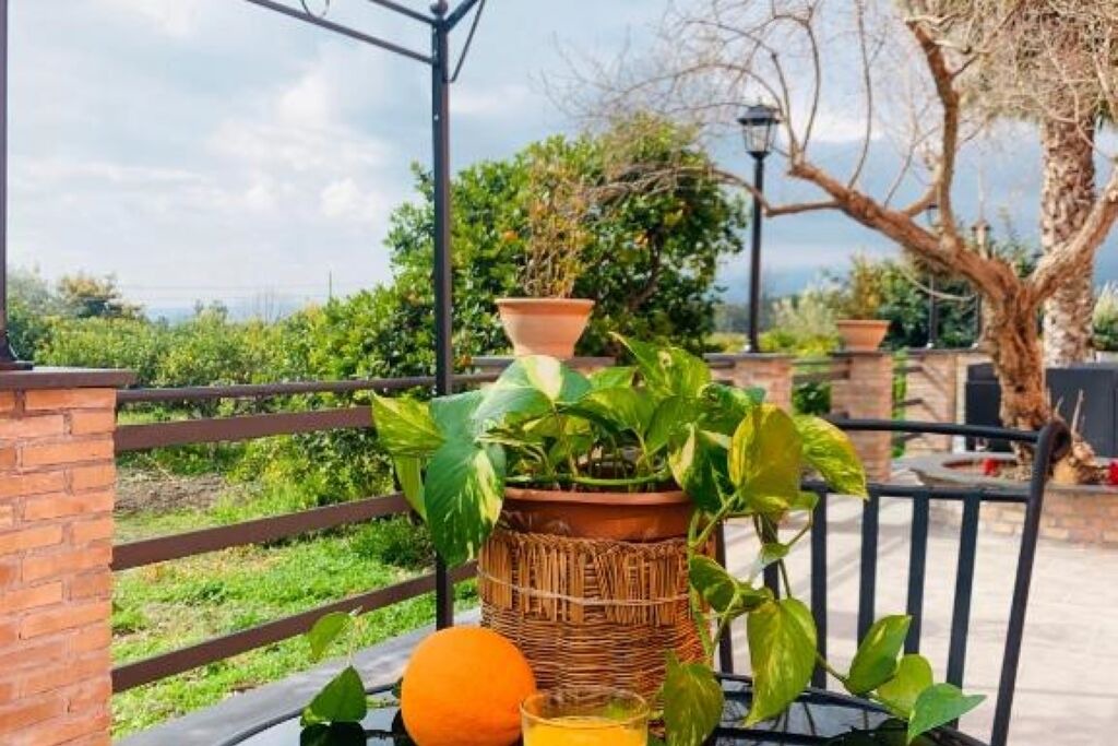 Photo of Outdoor in Chianchitta-Trappitello