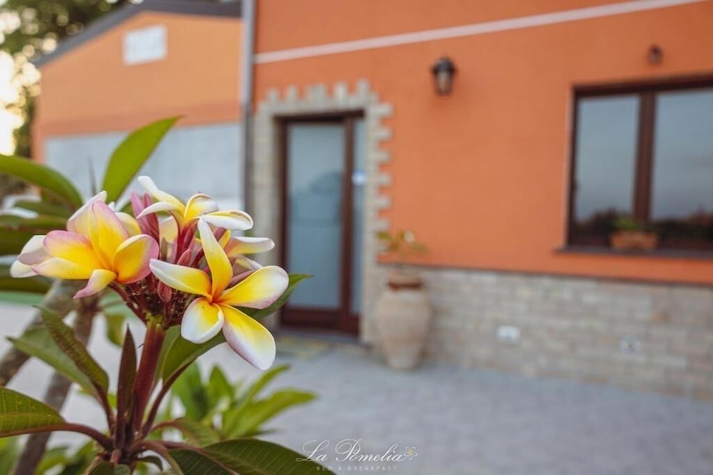 Photo of Outdoor in Chianchitta-Trappitello