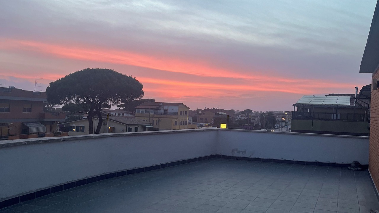 Photo of Patio Balcony in Lido dei Pini